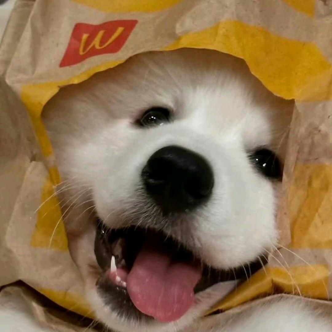 顺顺727