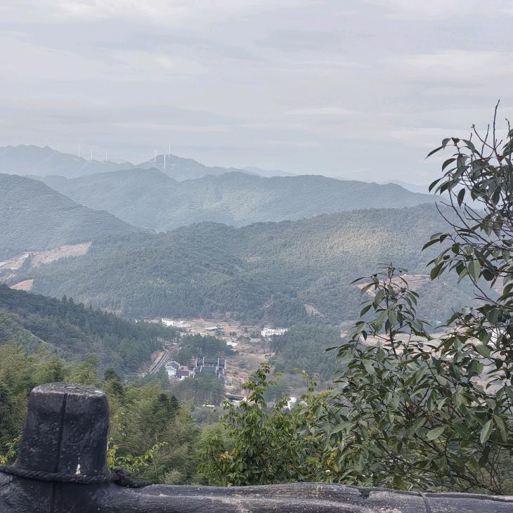 🥦细品❤岁月🍉