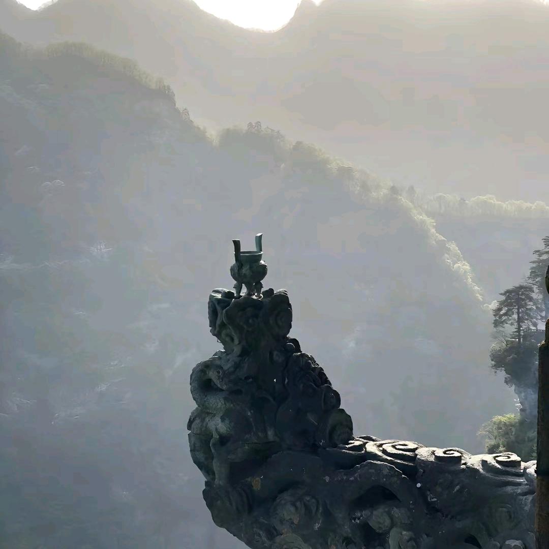 慧羽