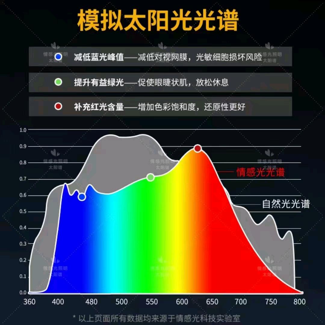 大连尊煌智家灯具城（华南家居）