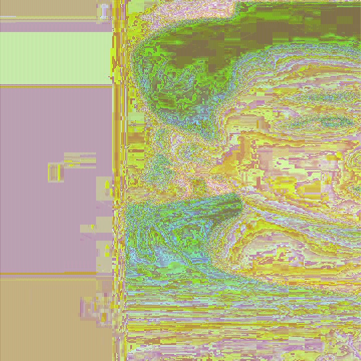 梅花