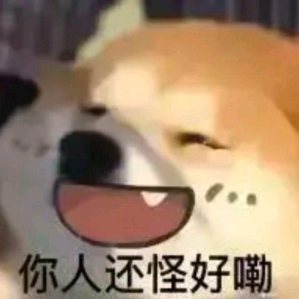 WiFi（小音符我的流量呢