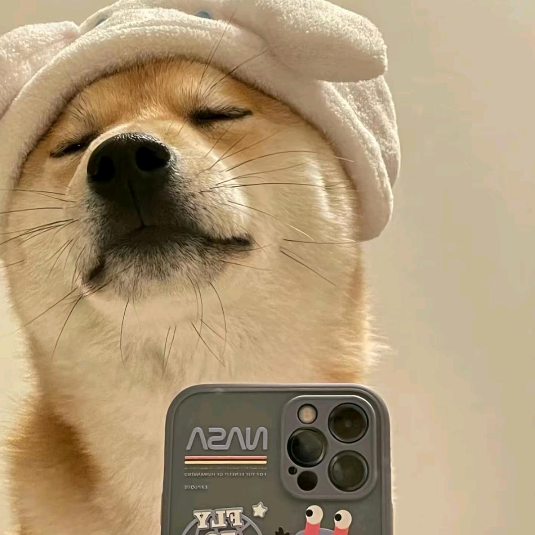 南阳朝