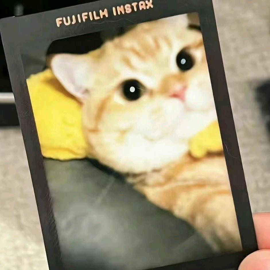 睡睡觉觉