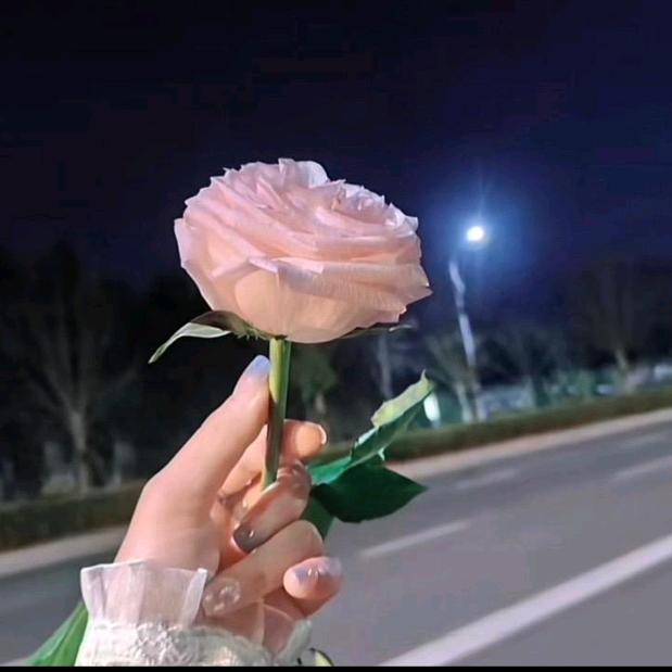 依依
