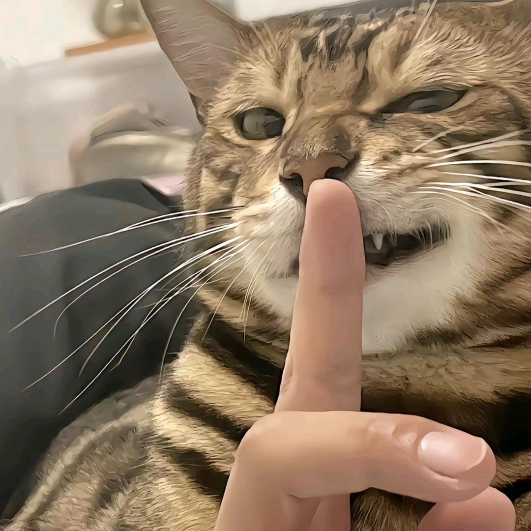 捷径头像
