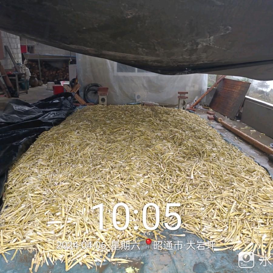 收购竹笋