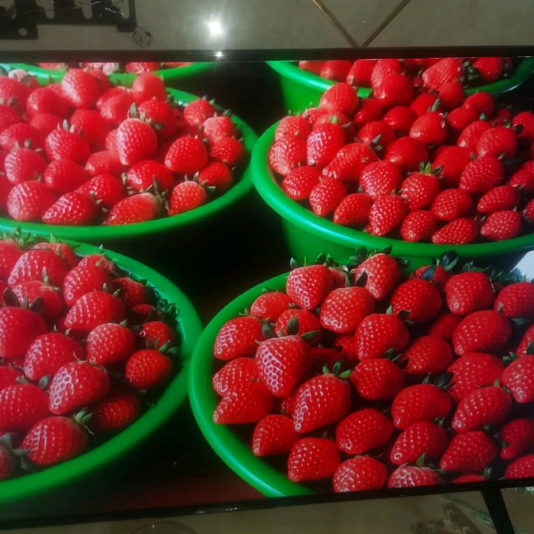 小珍