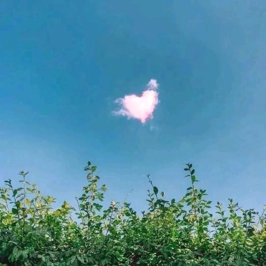 加油加油