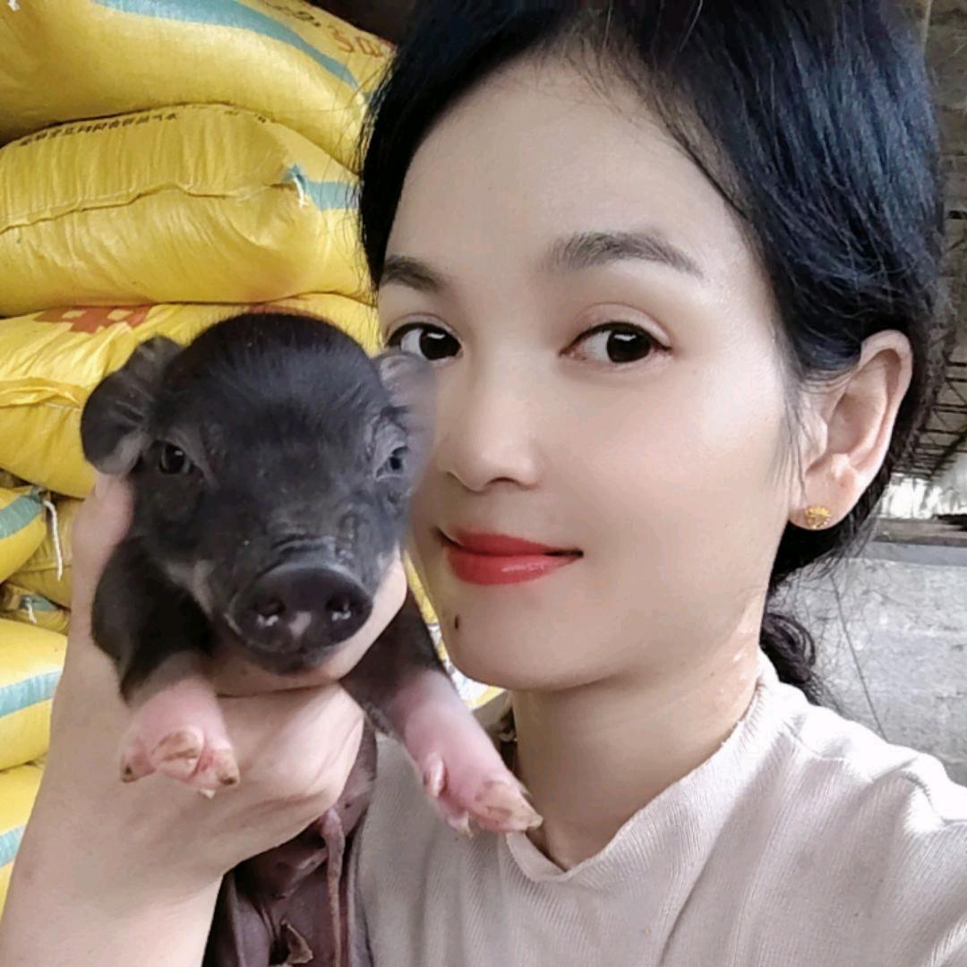 猪妹