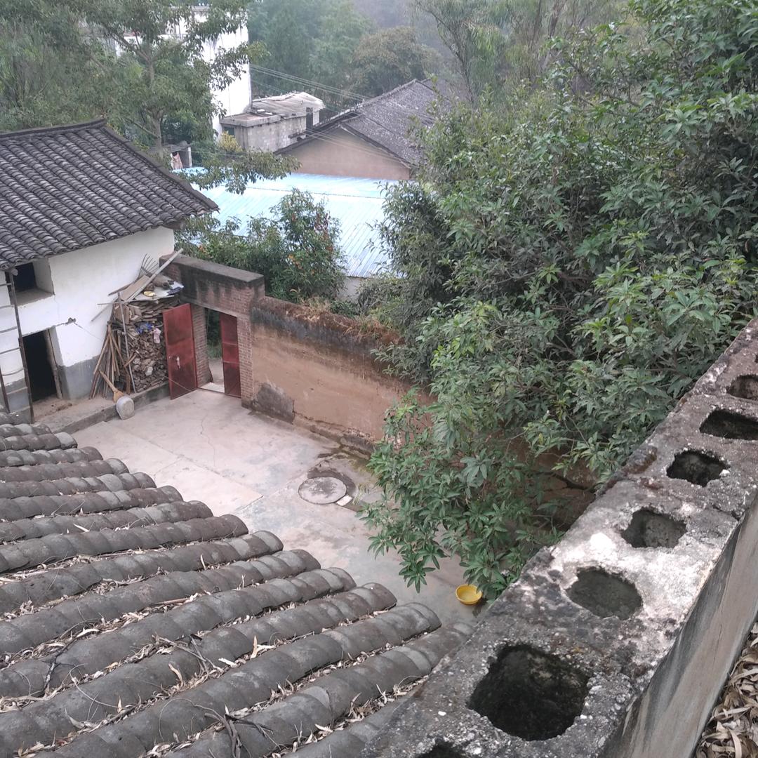 糊涂歌