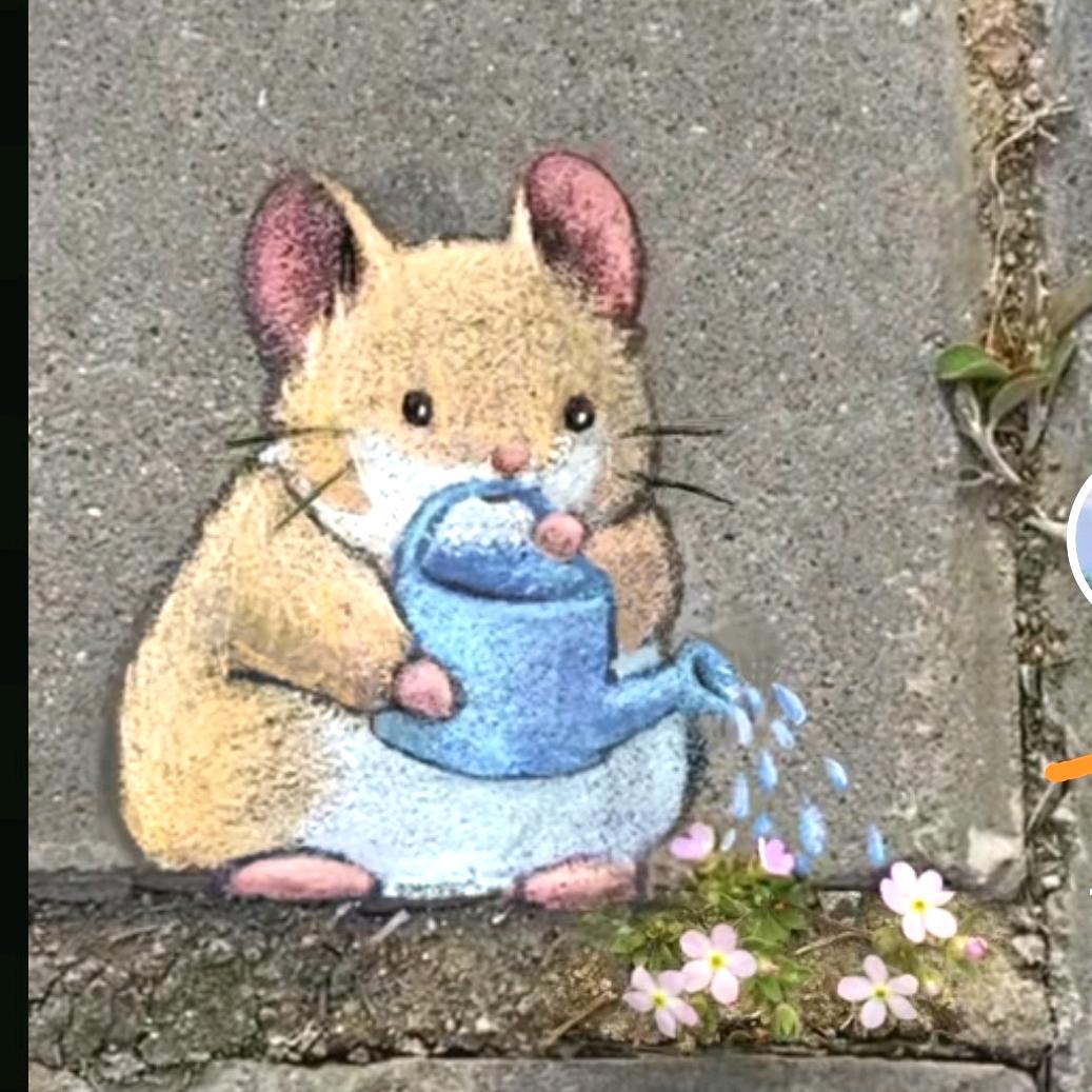 🌿叶子（8099）