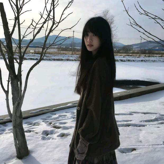 雪泥鸿爪