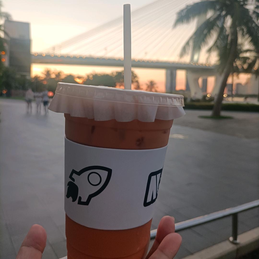周歌歌