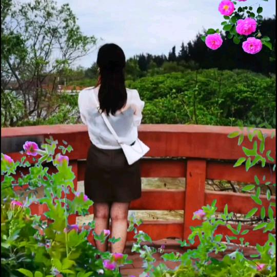 🥀᭄ꦿᩚ平凡ᥫᩣꦿ