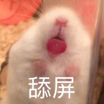 下水道里的老鼠🐭