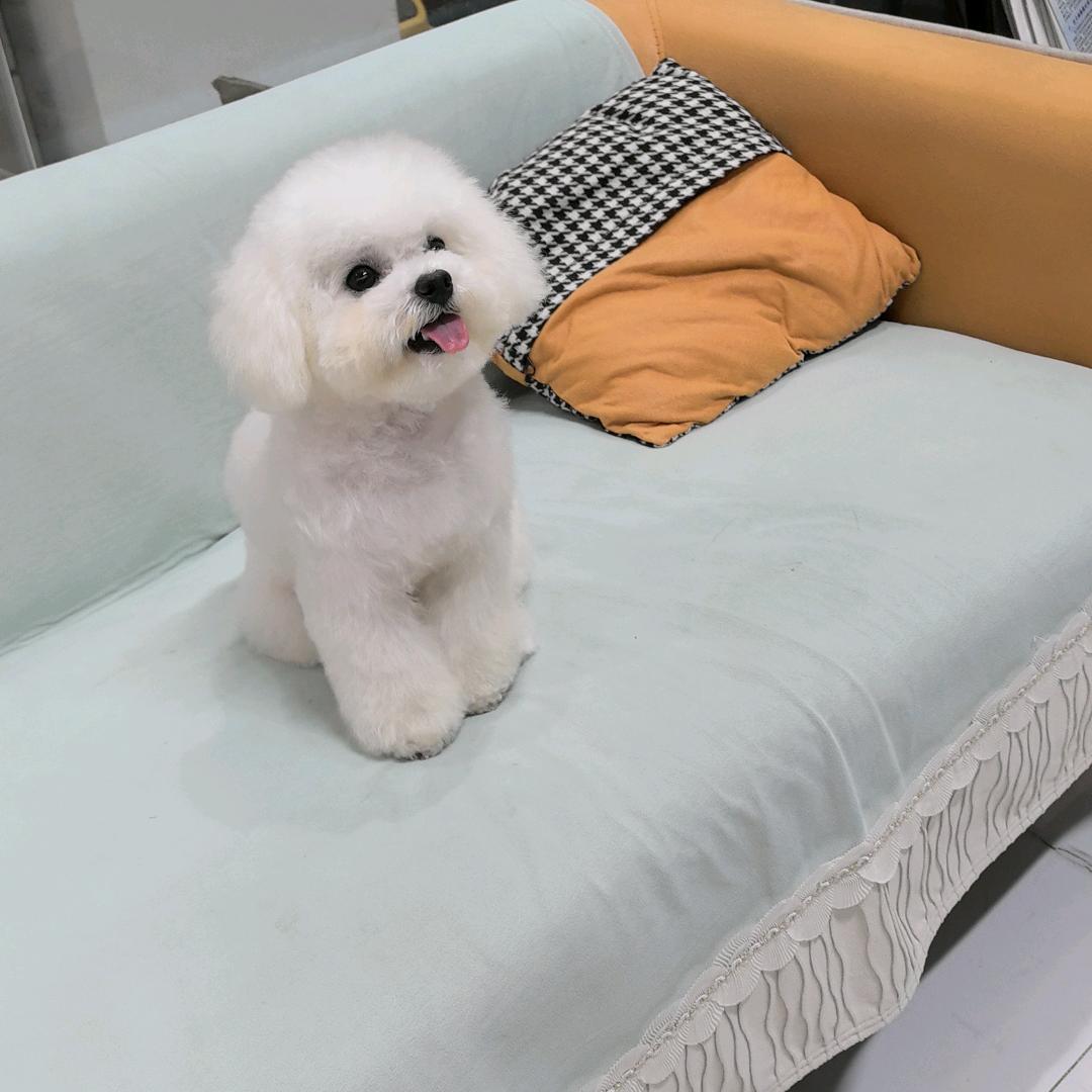 玛丽宠物诊所官方号