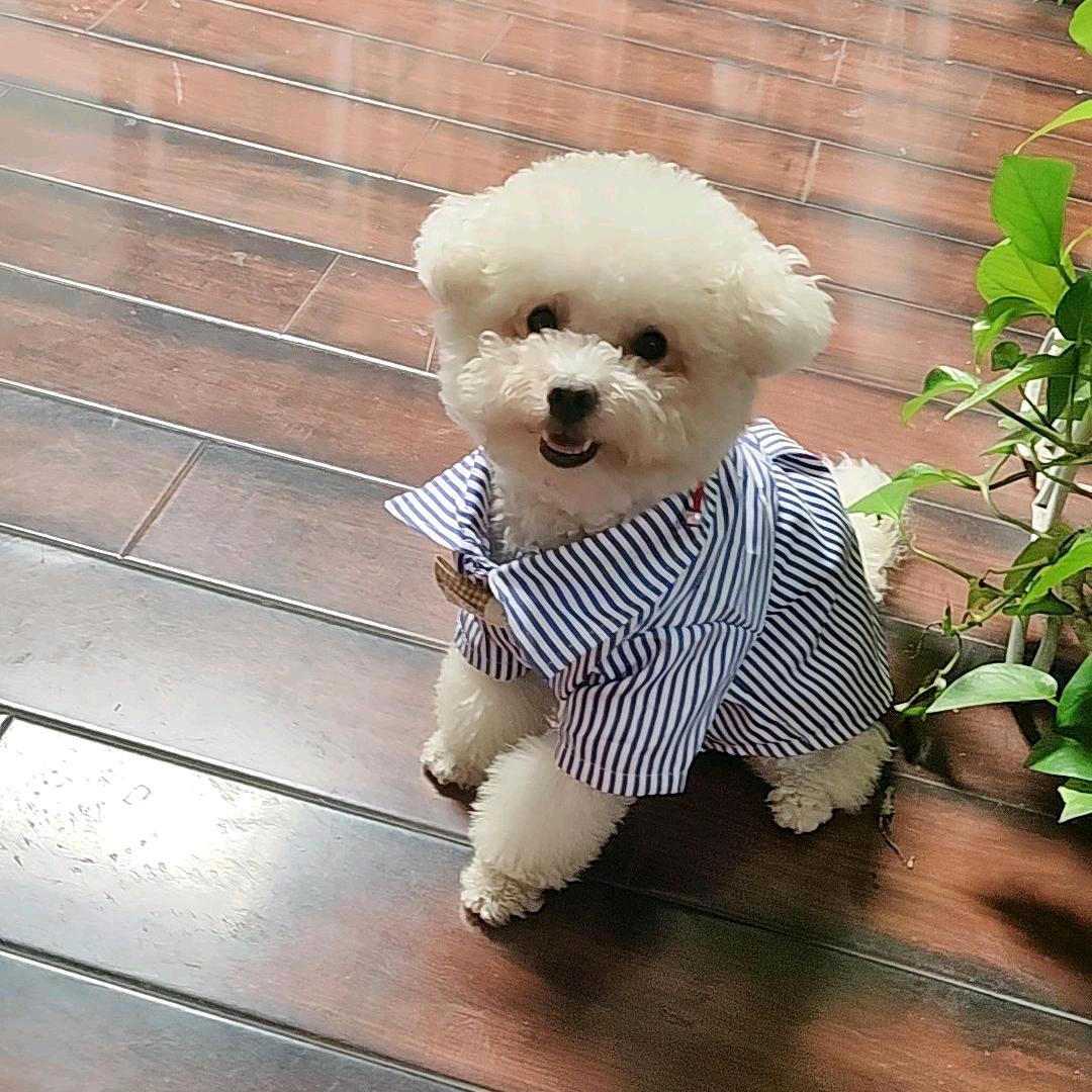 💞꧁࿆夜影✾࿆꧂𷧁࿆