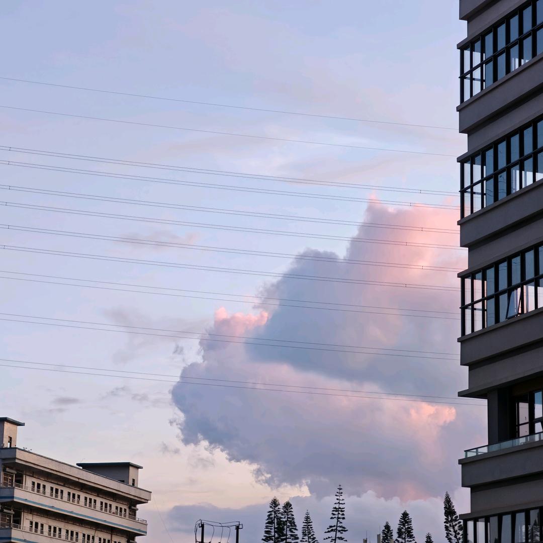 呼呼啥（首播 下午1.55开）