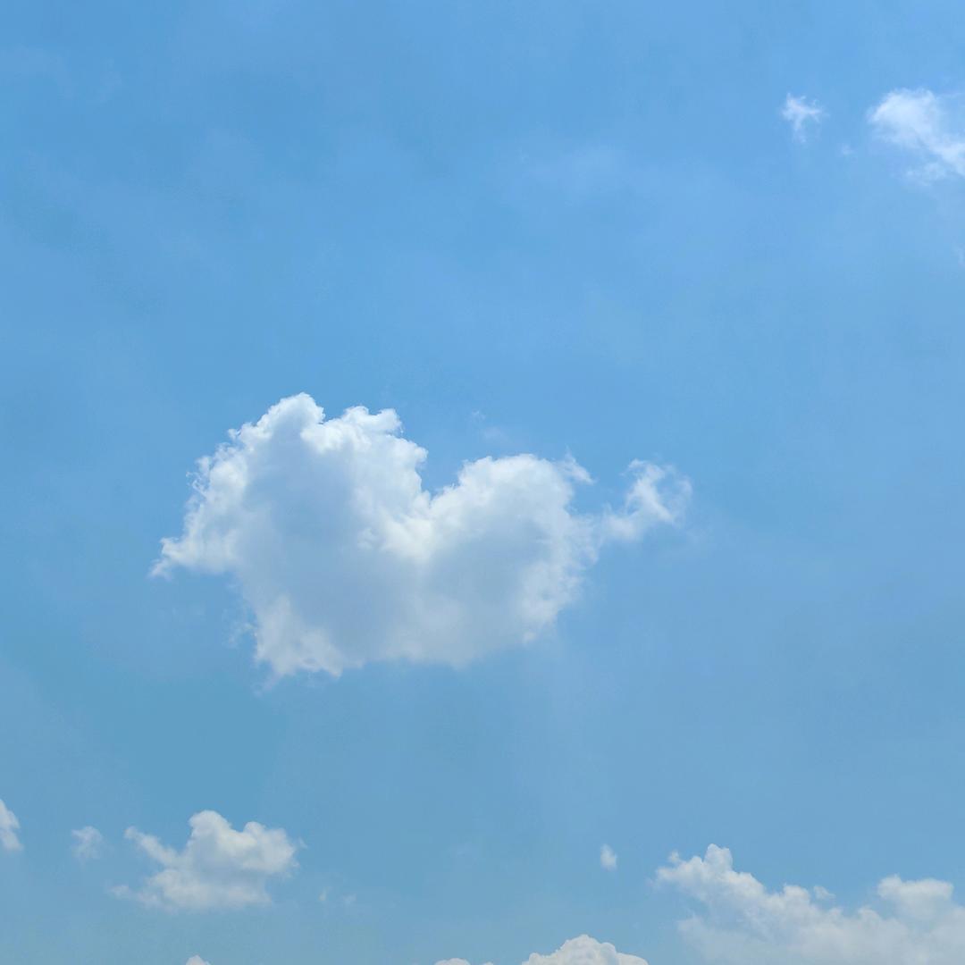 小小阳