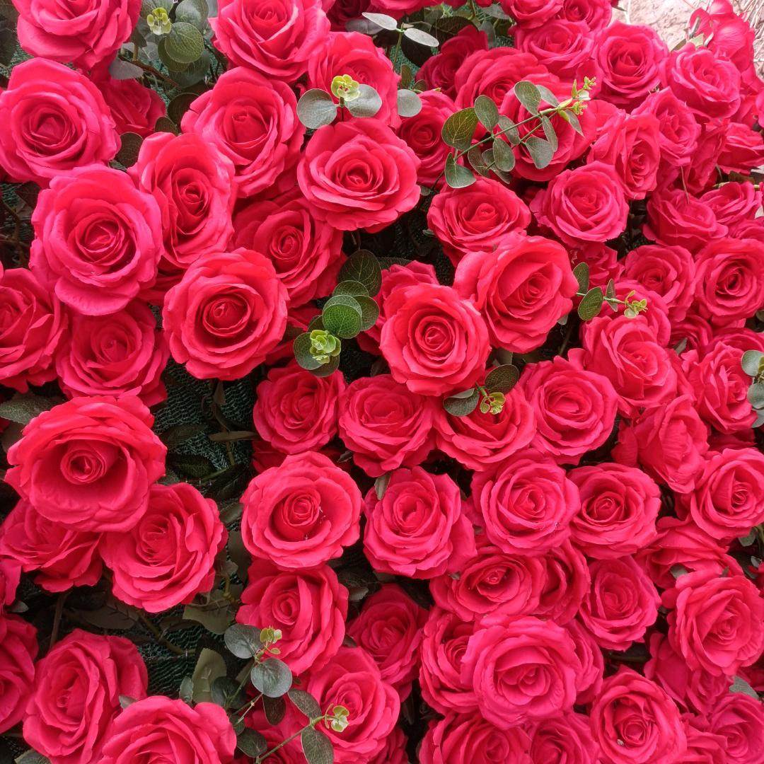 财源广进💰💰💰