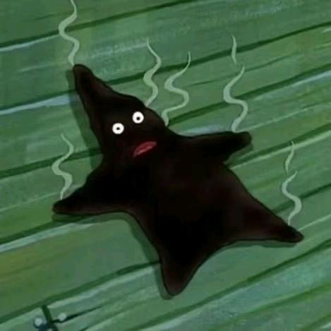 AAAAAA花开富贵🌹