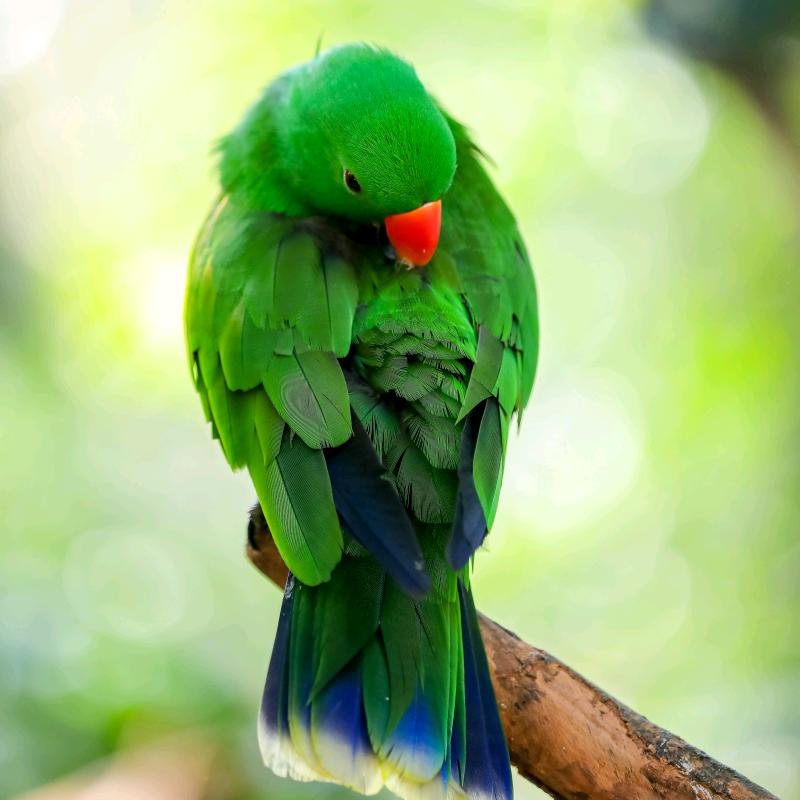 ꧁ 淘淘🔥（情感💫搞笑）视频盘点