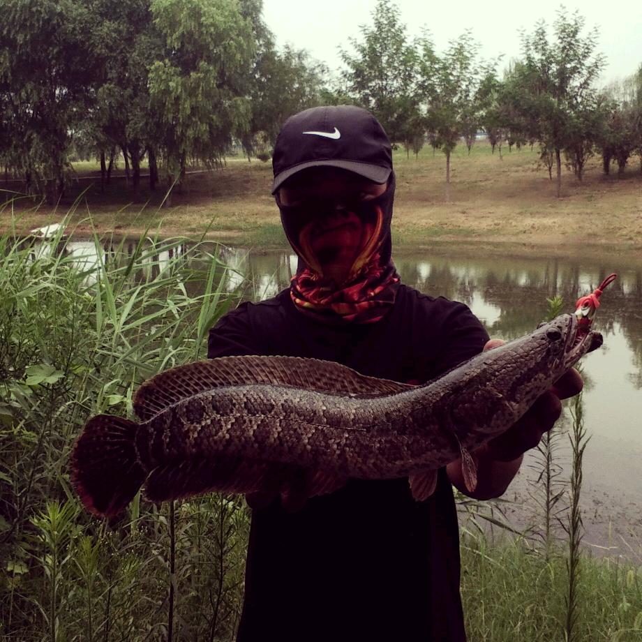 路亚上钟技师“冉肾贤”