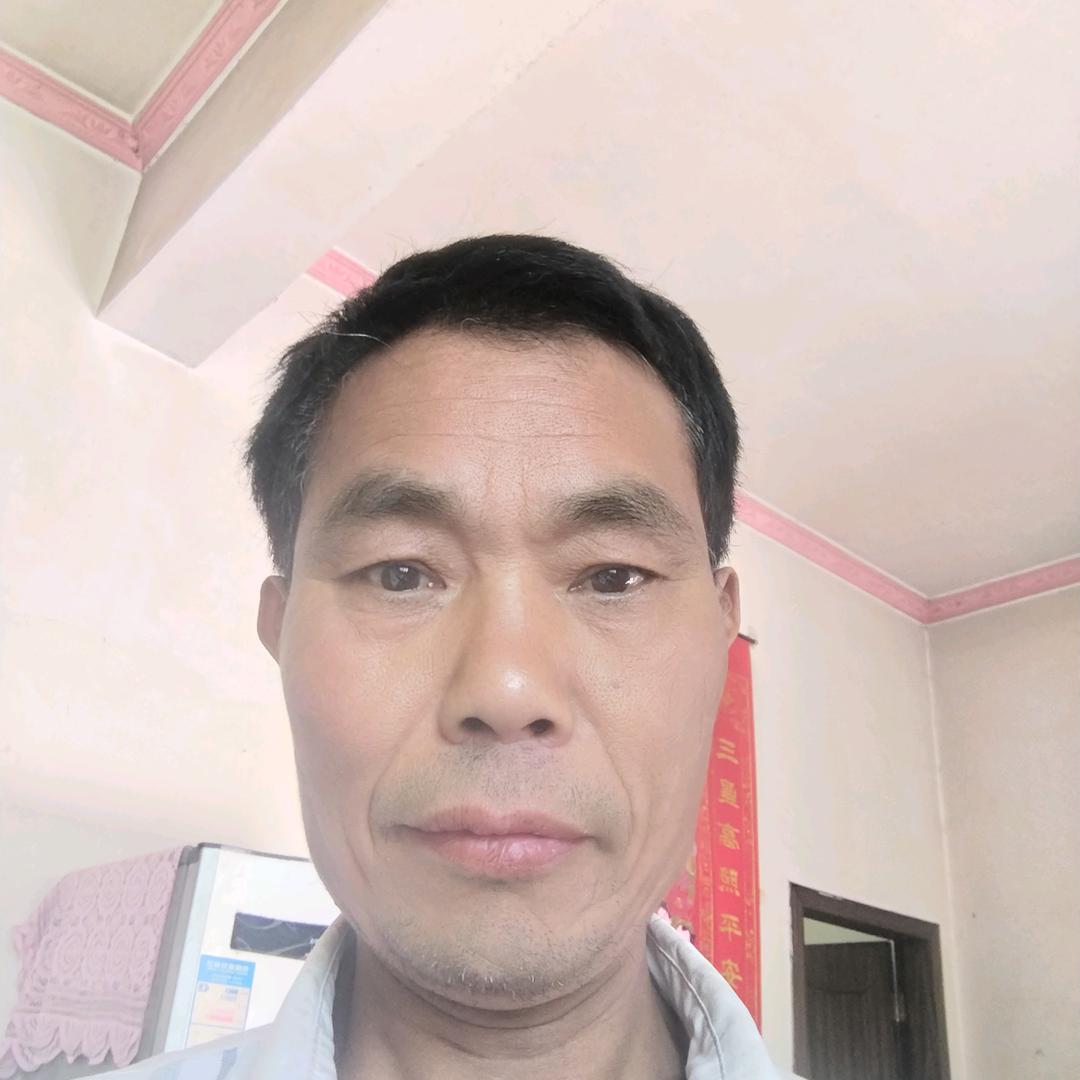 两木一林