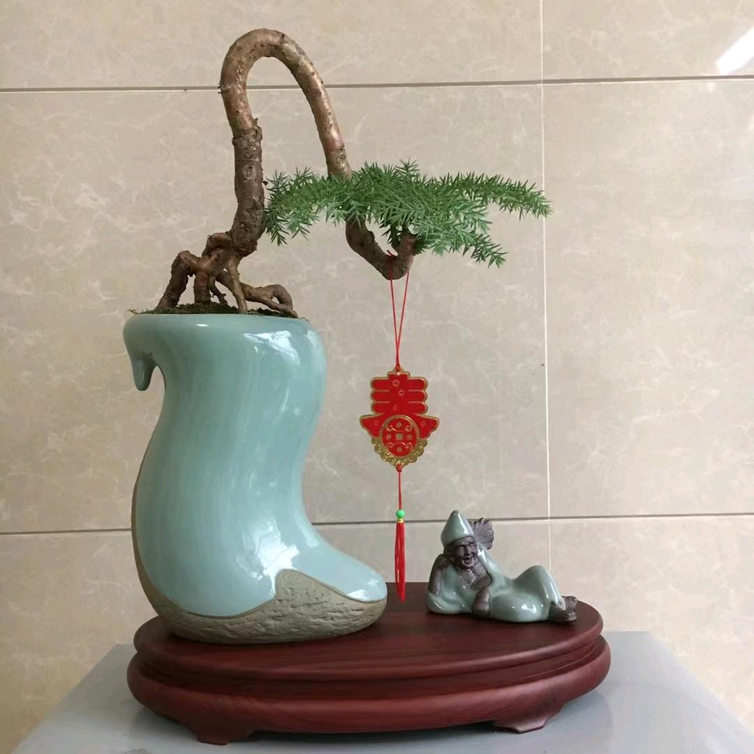 木羽园艺