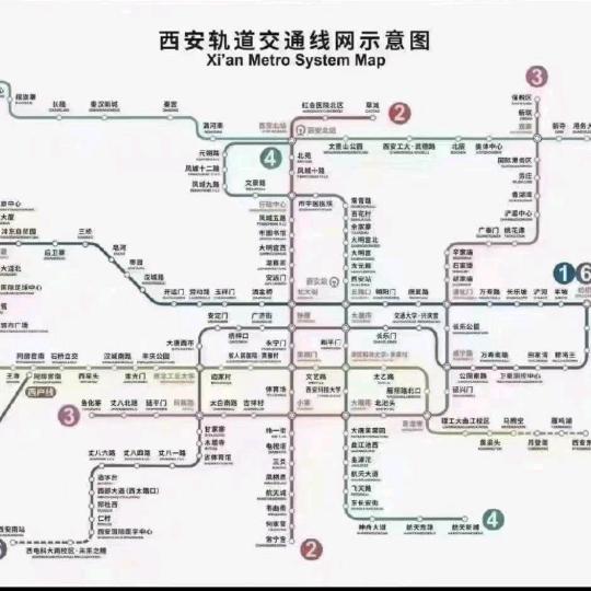 萌新楠语茶行红姐