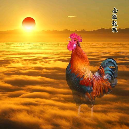 新农人～～小张哥的农场