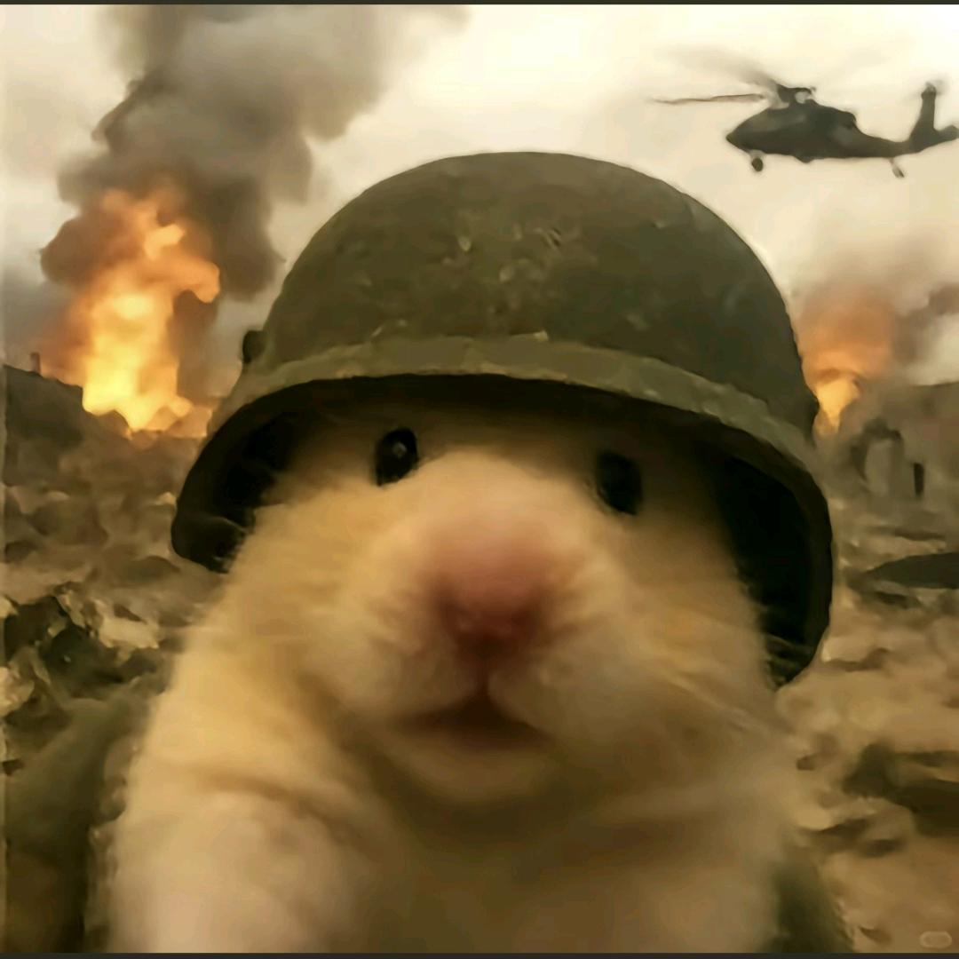 粉笔只有学校有