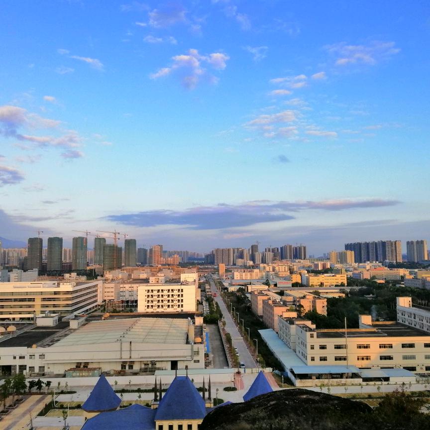 江大爷