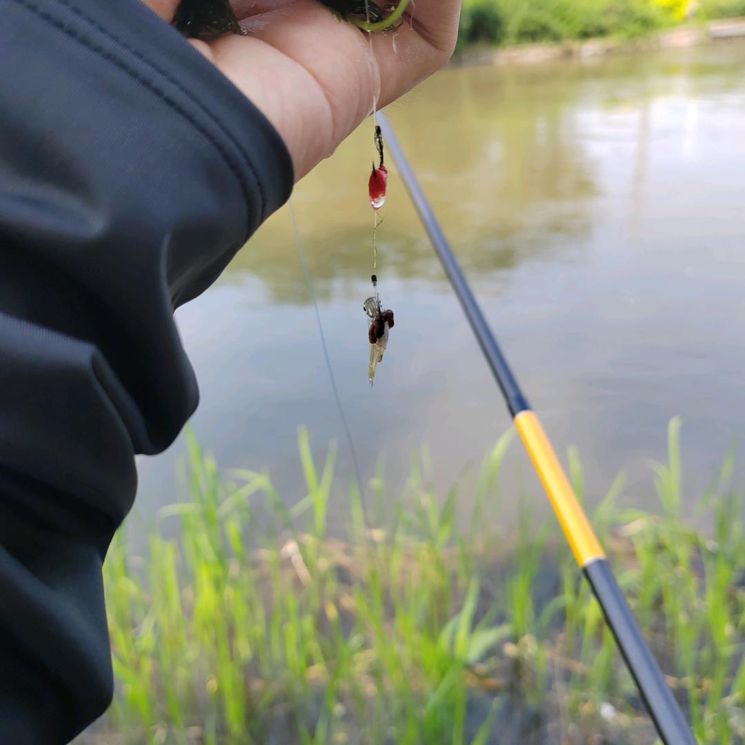 有点小无鱼🎣