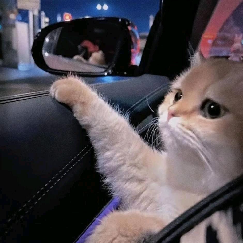 阿七ㅤ