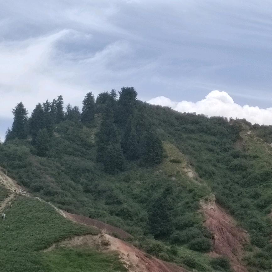 指尖花凉