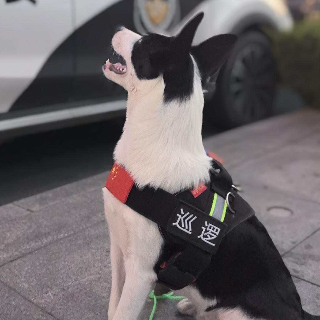 多爱好的人生