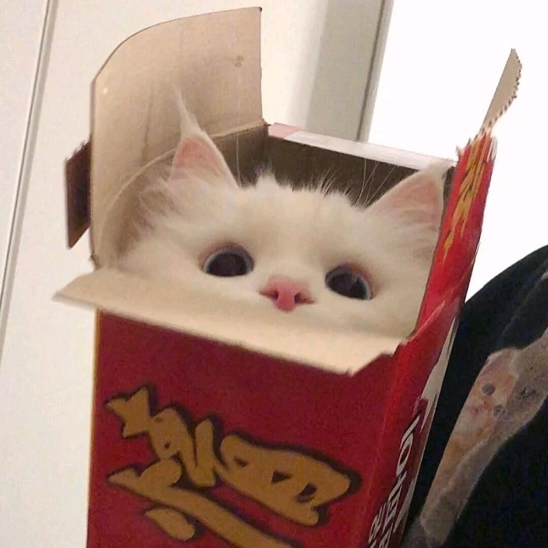 网鱼