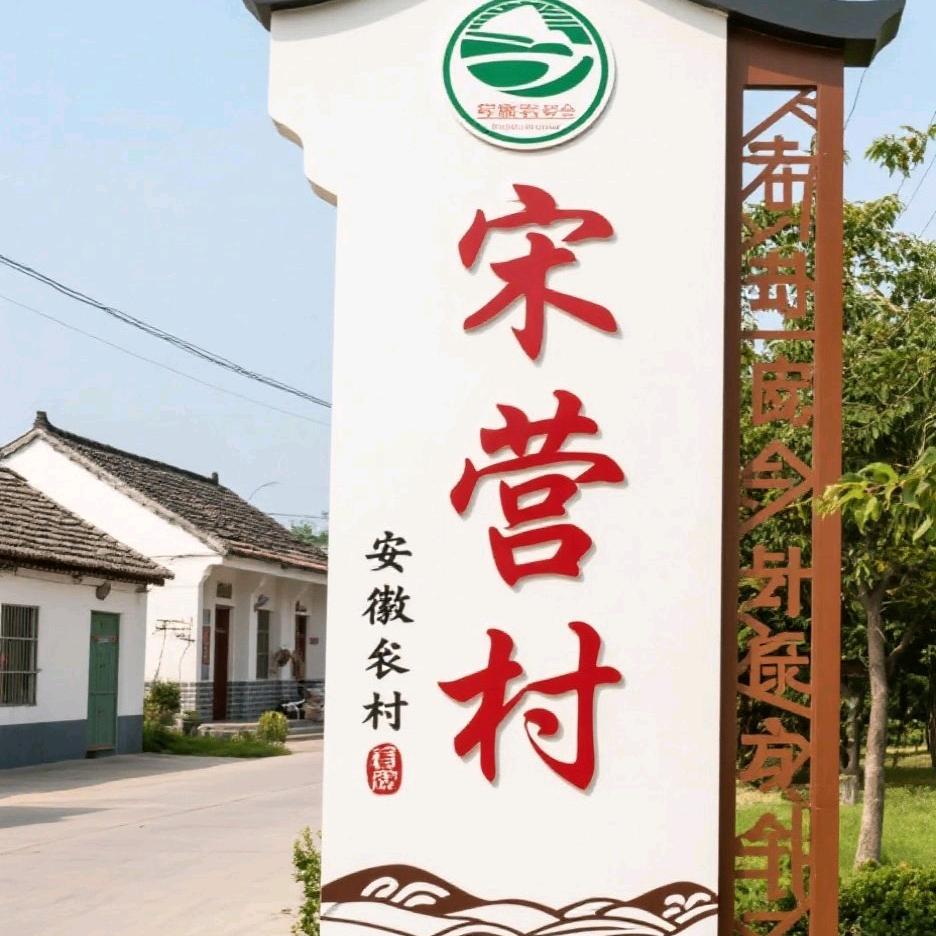 和谐宋营村