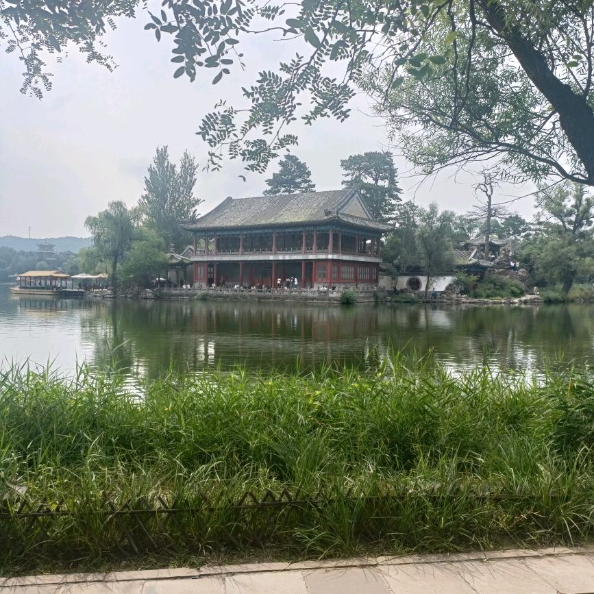浅夏的风