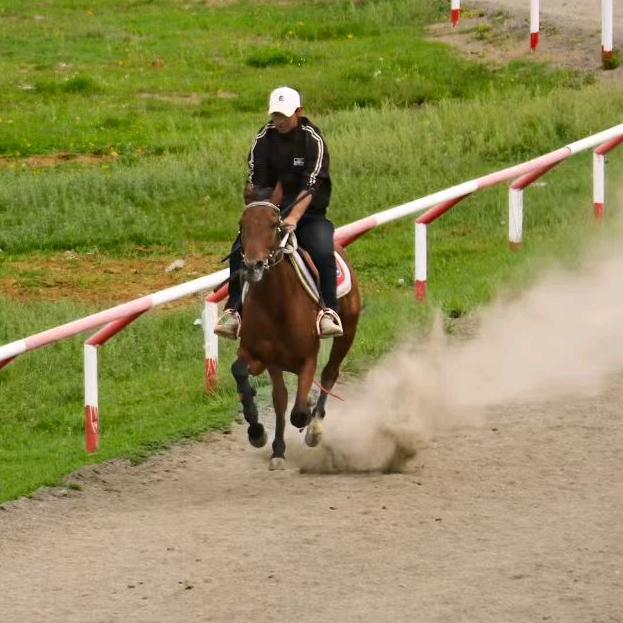 ꧁布🏆教🏅练🥇꧂