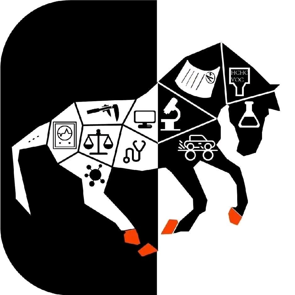 骡马检测张工（检测报告）