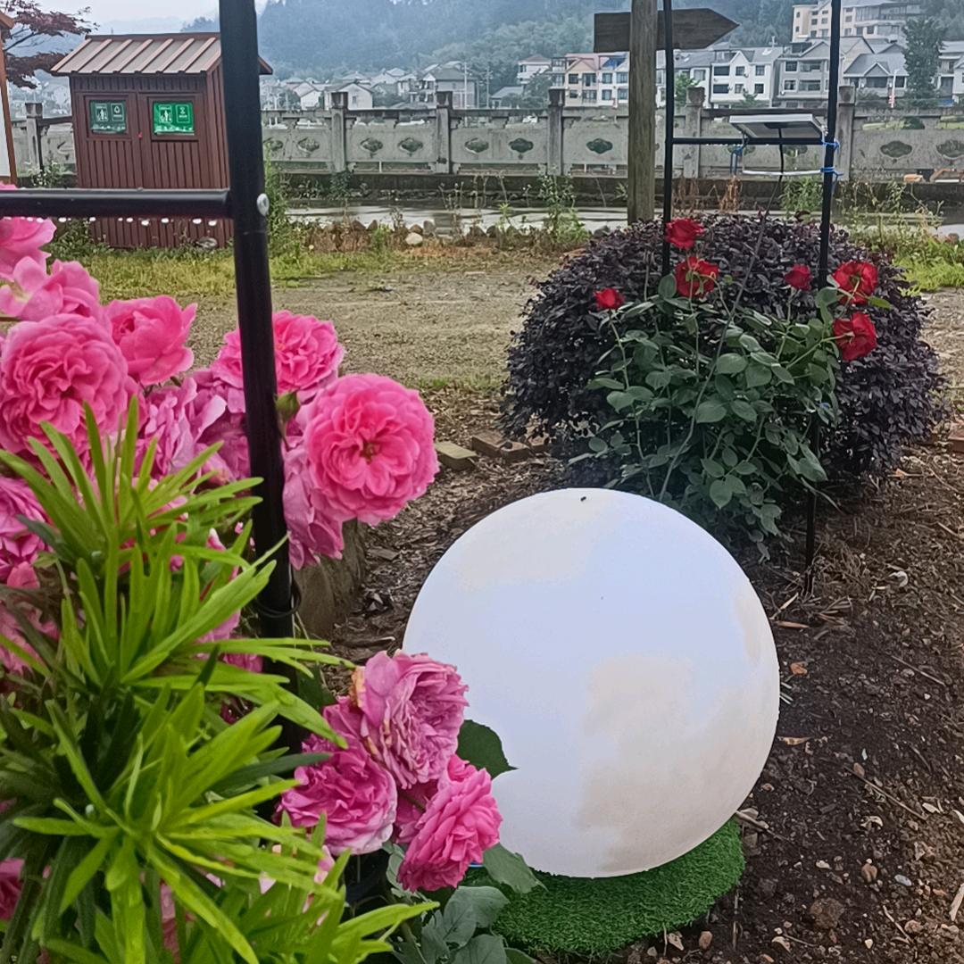 原味阁民宿