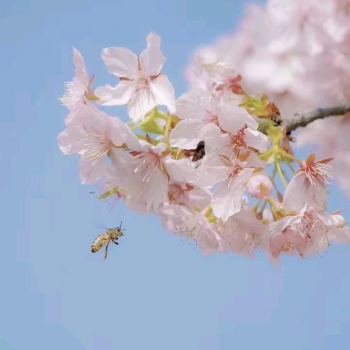 用户882696