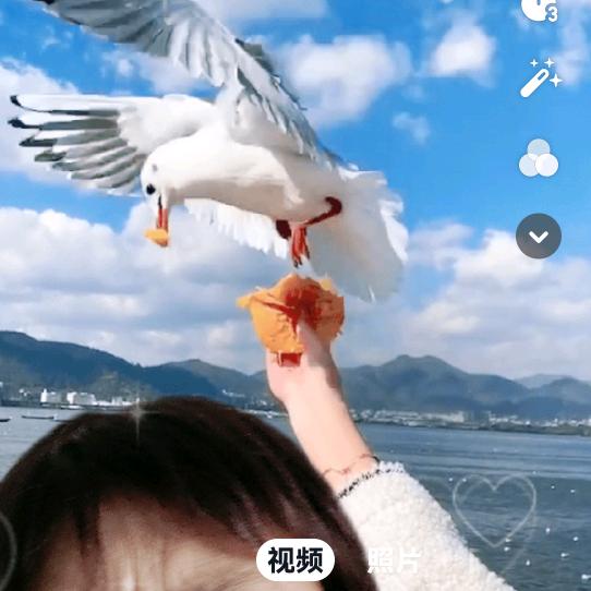 感恩每一天