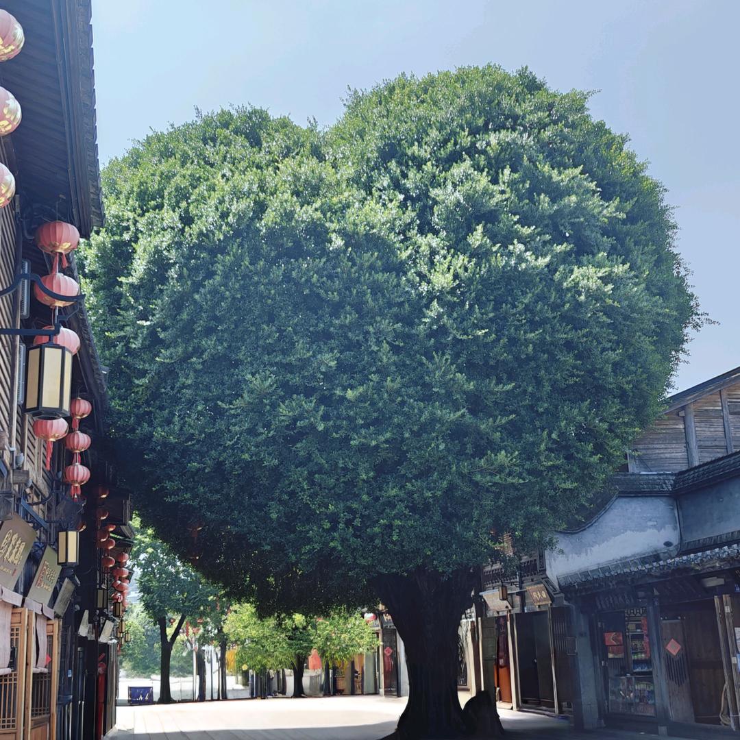 我爱洗澡皮肤好好