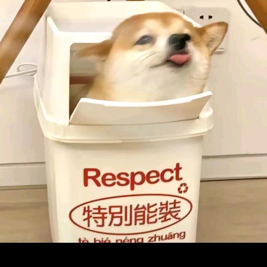 _-_💞小少爺