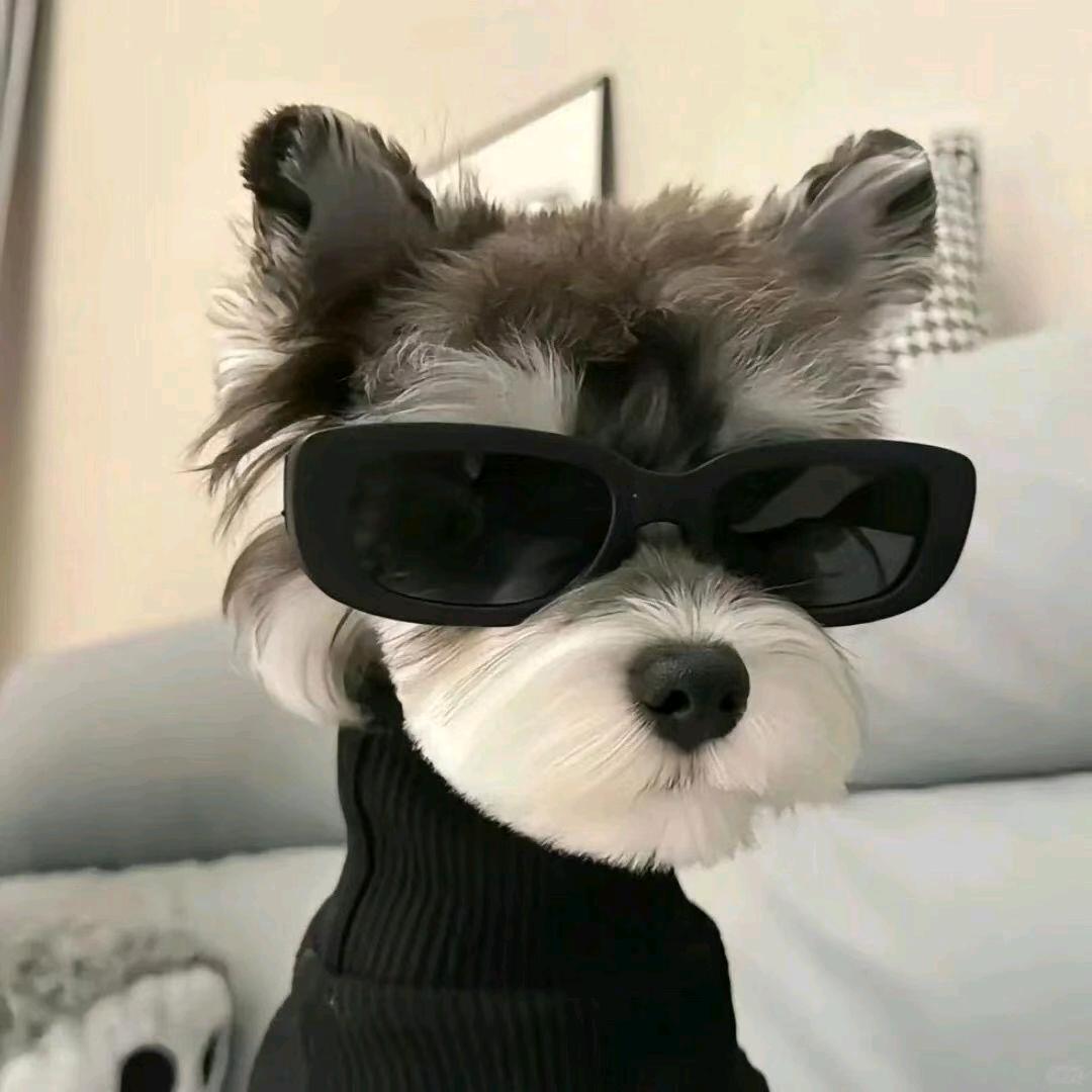 樊.