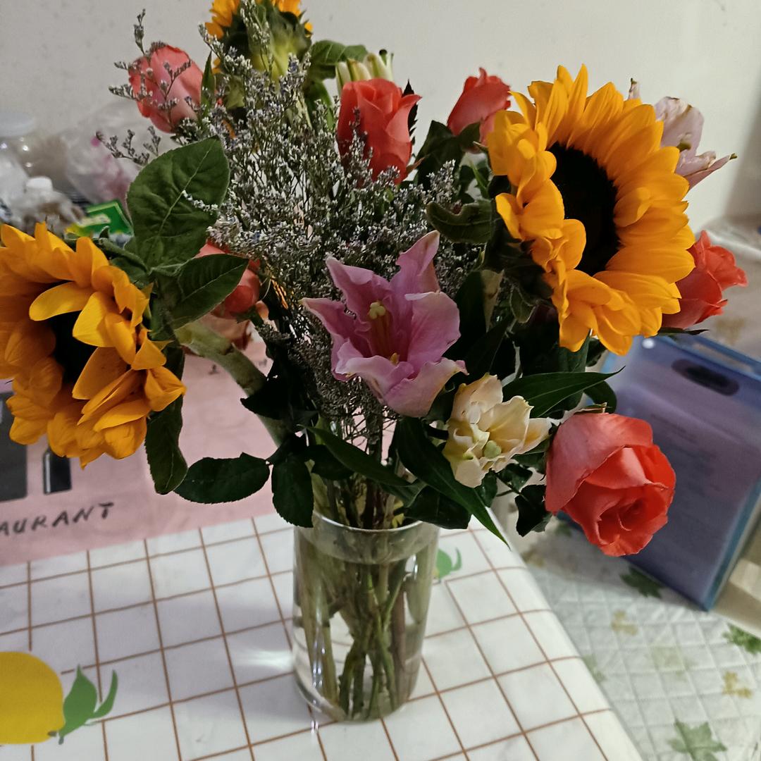 不信宿命的偏执